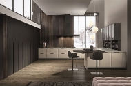  Contempora,  Aster, .    .   ,  