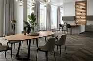  Contempora,  Aster, .    .   ,  