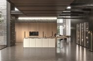 Contempora,  Aster, .    .   ,  