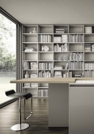  Contempora,  Aster, .    .      ,  