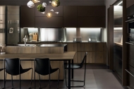  Factory,  Aster, .    .   ,  , 