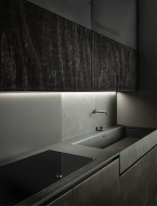  Factory,  Aster, .    .   ,  , 
