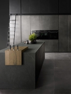  Factory,  Aster, .    .   ,  , 