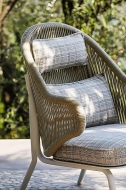  Agave.  Atmosphera, .    .     -  , 