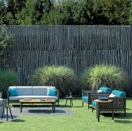  Dandy.  Atmosphera, .     -    , , , 