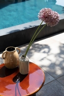  Panarea.  Atmosphera, .     .     - 