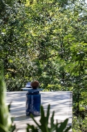  Panarea.  Atmosphera, .     .     - 