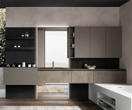  Facto 2.  Birex, .    .    ,     