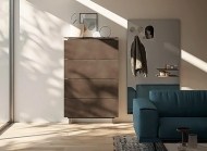  Hosoi.  Birex, .    .        - , 