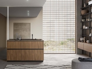  Traccia 2.  Birex, .    .   ,    