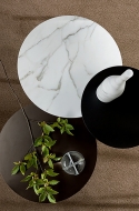  Innesti.  Bonaldo, .       .     