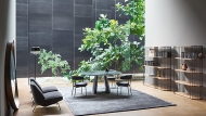  Torii.  Bonaldo, .        ,    . 