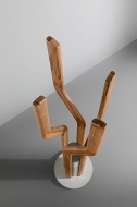  Alma.  Bonaldo, .     ,   .   