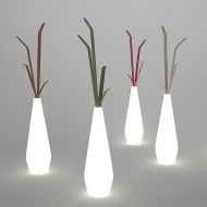  Kadou.  Bonaldo, .      .   , 
