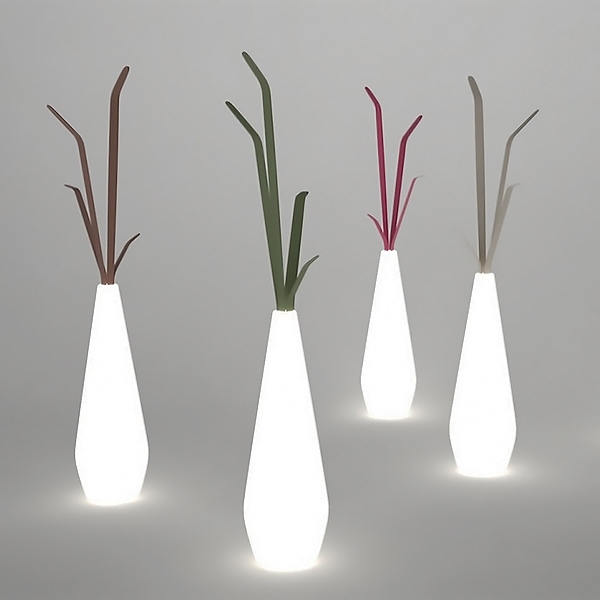 Kadou.  Bonaldo, .      .   , 