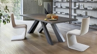  Venere.  Bonaldo, . ,     .     