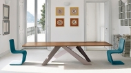  Venere.  Bonaldo, . ,     .     