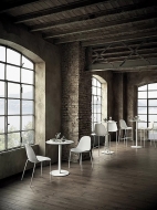  Club.  Bontempi, .            . 