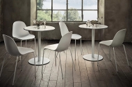  Club.  Bontempi, .            . 