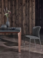  Grace.  Bontempi, .    .      - 