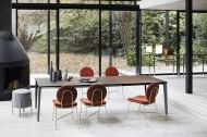  Penelope.  Bontempi, .     .      -