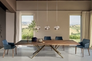  Sally,  Bontempi, .        .   