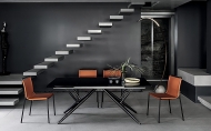  Shape,  Bontempi, .        .   