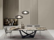  Papillon.  Bontempi, .    .     - 