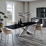  Zuleika.  Cattelan, .     .      - 