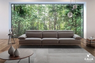 Edo.  Calia, .      .     - , 
