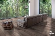  Edo.  Calia, .      .     - , 