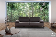  Edo.  Calia, .      .     - , 