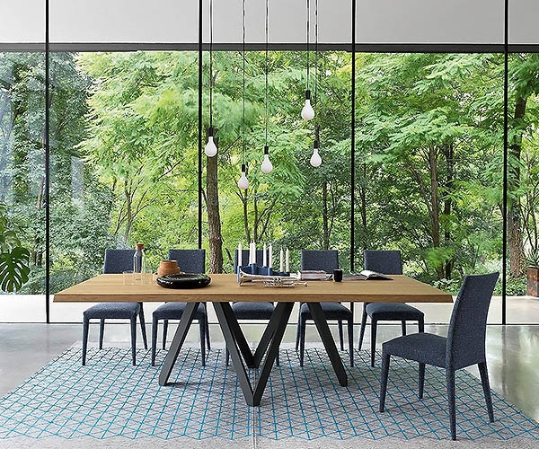Cartesio, Calligaris.     -    ,       