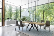  Cartesio.  - Calligaris, .          . 