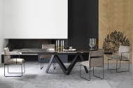  Cartesio.  - Calligaris, .          . 