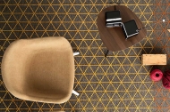  Apotema.  - Calligaris, .    .   ,   