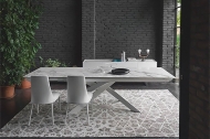  Arabia.  - Calligaris, .       .   