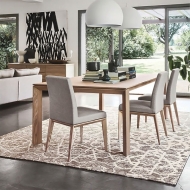  Arabia.  - Calligaris, .       .   