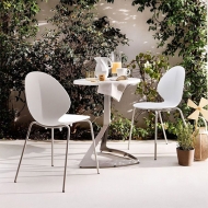  Basil.  - Calligaris, .      .     