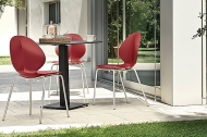  Basil.  - Calligaris, .      .     