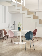  Basil.  - Calligaris, .      .     