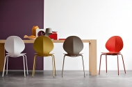  Basil.  - Calligaris, .      .     