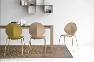  Basil.  - Calligaris, .      .     