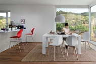  Basil.  - Calligaris, .      .     