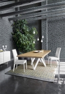  Bess.  - Calligaris, .    .      - 