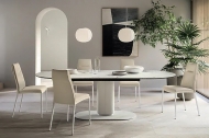  Cameo.  - Calligaris, .      -   .  