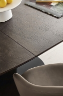  Elson.  - Calligaris, .        .   