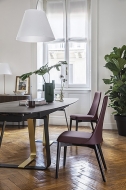 Etoile.  - Calligaris, .    .      - 