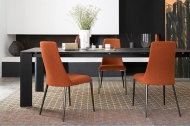  Etoile.  - Calligaris, .    .      - 