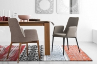  Etoile.  - Calligaris, .    .      - 